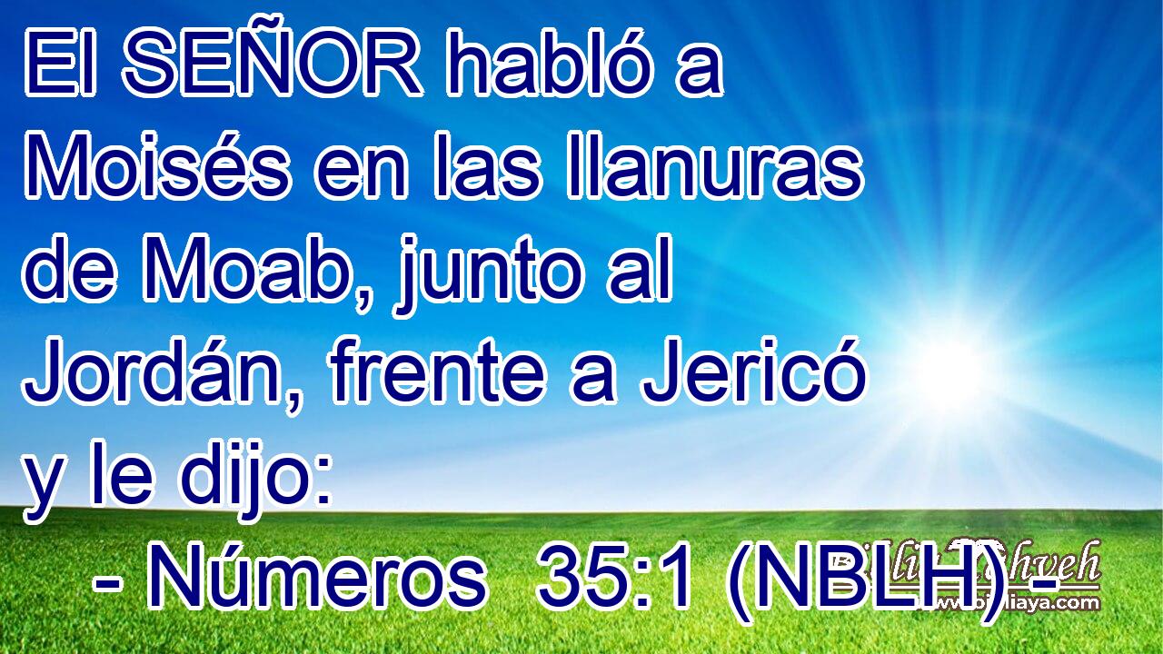  El SEÑOR habló a Moisés en las llanuras de Moab, junto al Jordán, frente a Jericó y le dijo: 