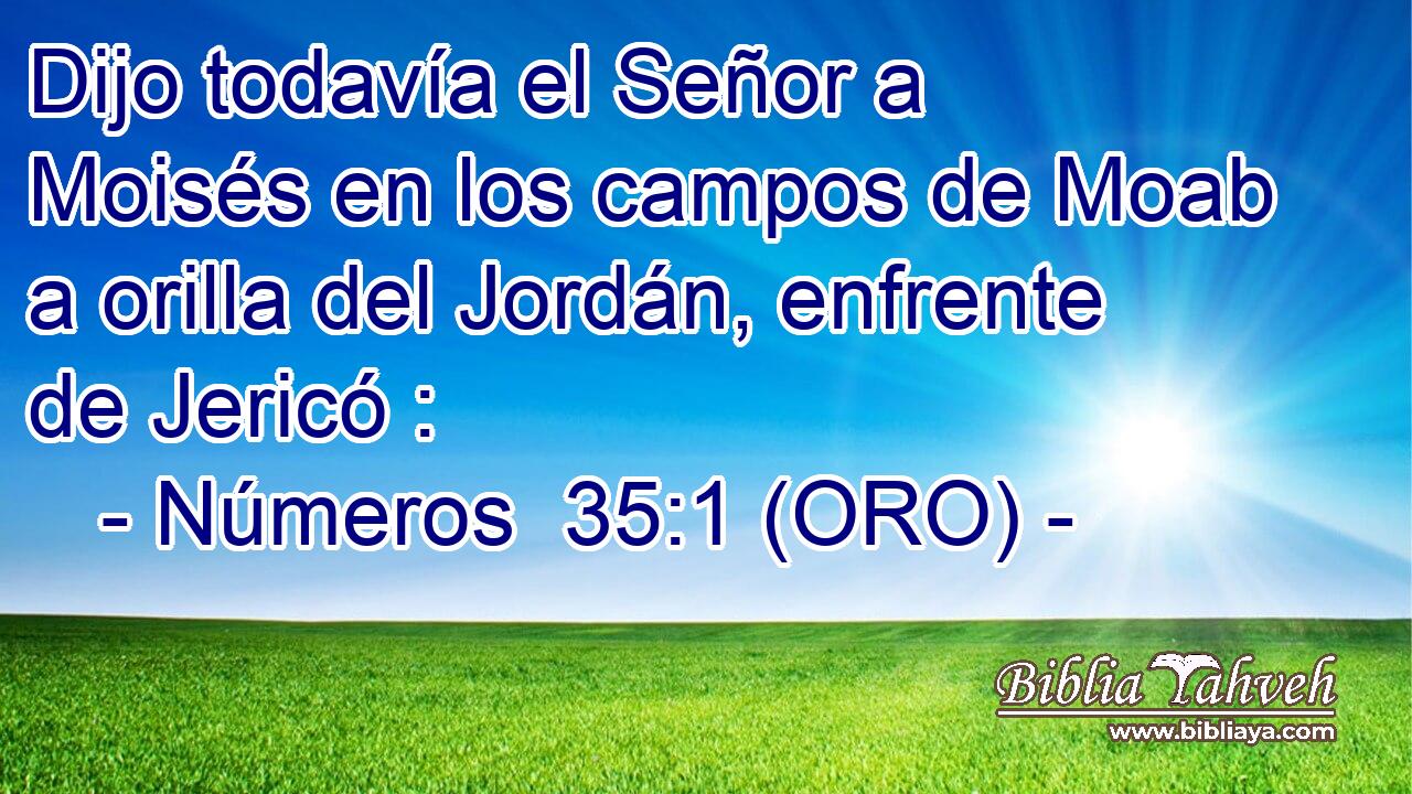  Dijo todavía el Señor a Moisés en los campos de Moab a orilla del Jordán, enfrente de Jericó : 