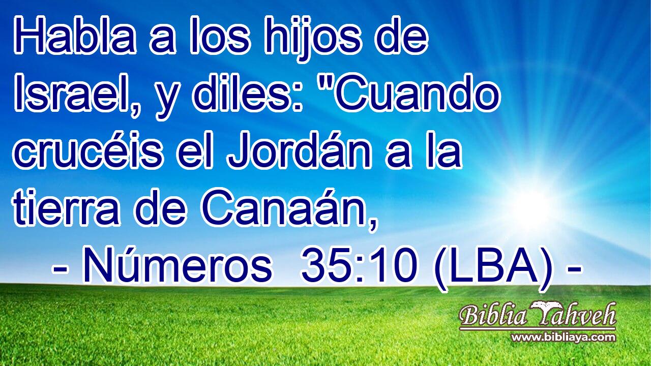 Habla a los hijos de Israel, y diles: 