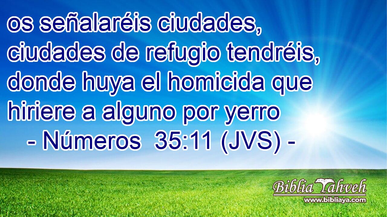 os señalaréis ciudades, ciudades de refugio tendréis, donde huya el homicida que hiriere a alguno por yerro