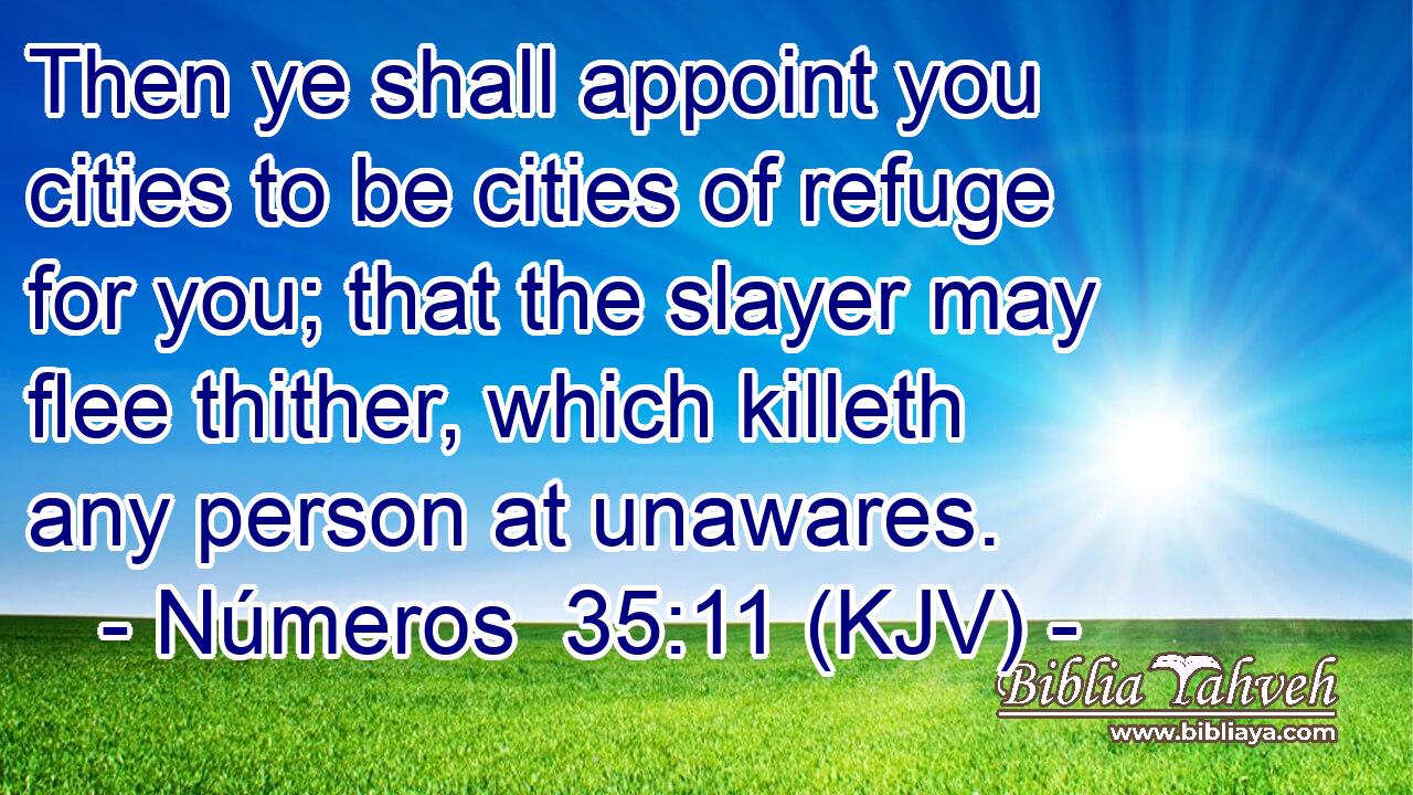 Then ye shall appoint you cities to be cities of refuge for you; that the slayer may flee thither, which killeth any person at unawares.