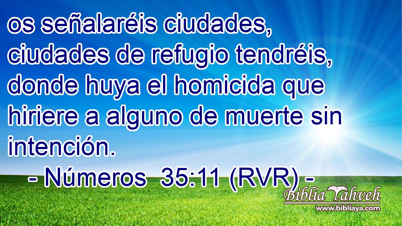 os señalaréis ciudades, ciudades de refugio tendréis, donde huya el homicida que hiriere a alguno de muerte sin intención.