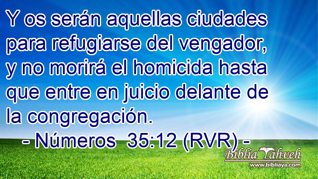 Y os serán aquellas ciudades para refugiarse del vengador, y no morirá el homicida hasta que entre en juicio delante de la congregación.