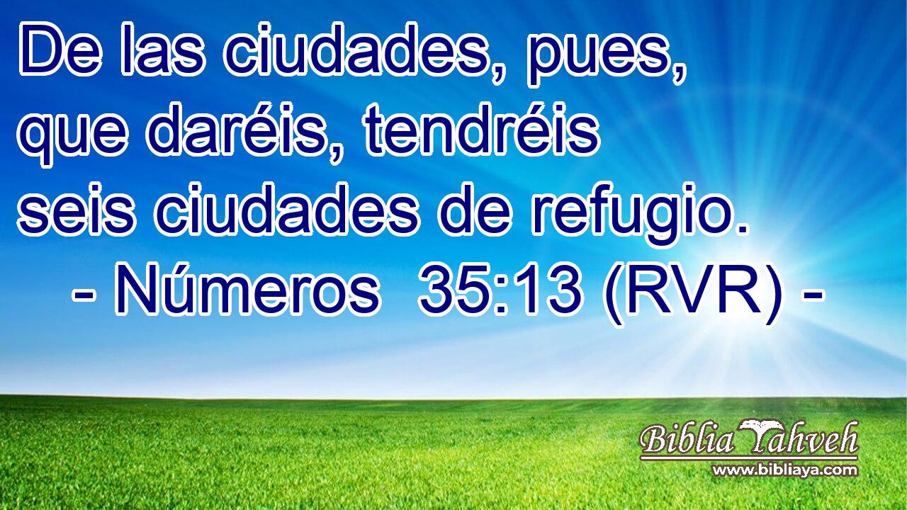 De las ciudades, pues, que daréis, tendréis seis ciudades de refugio.