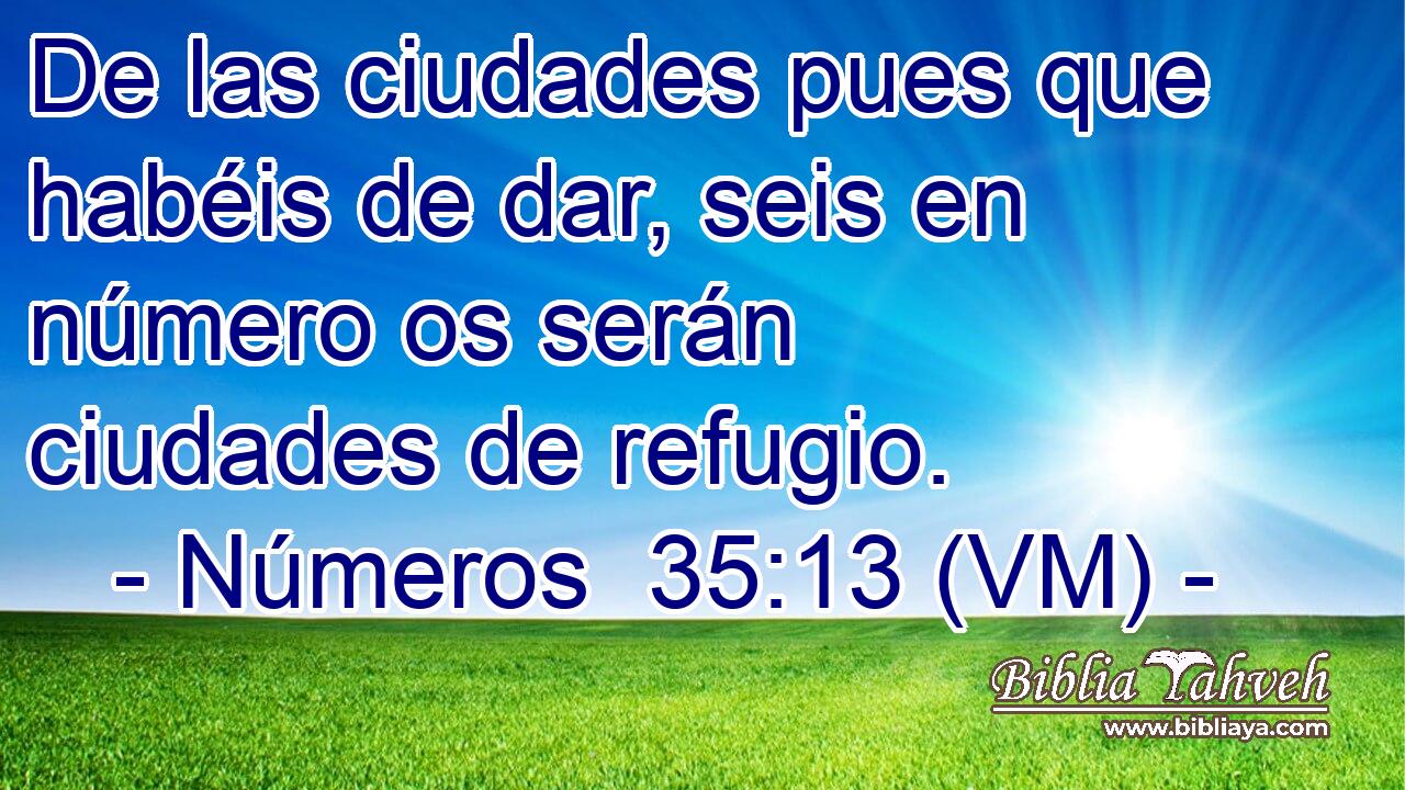  De las ciudades pues que habéis de dar, seis en número os serán ciudades de refugio. 