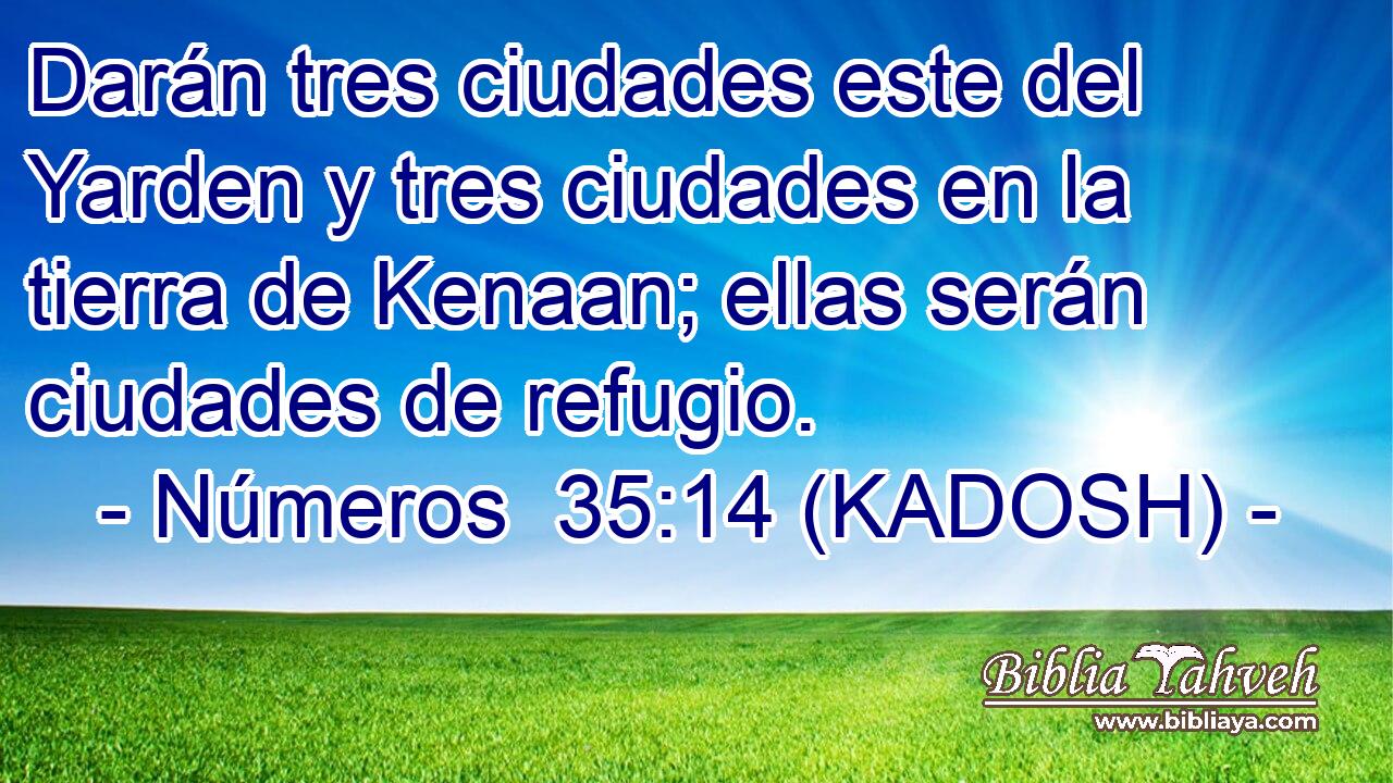  Darán tres ciudades este del Yarden y tres ciudades en la tierra de Kenaan; ellas serán ciudades de refugio. 