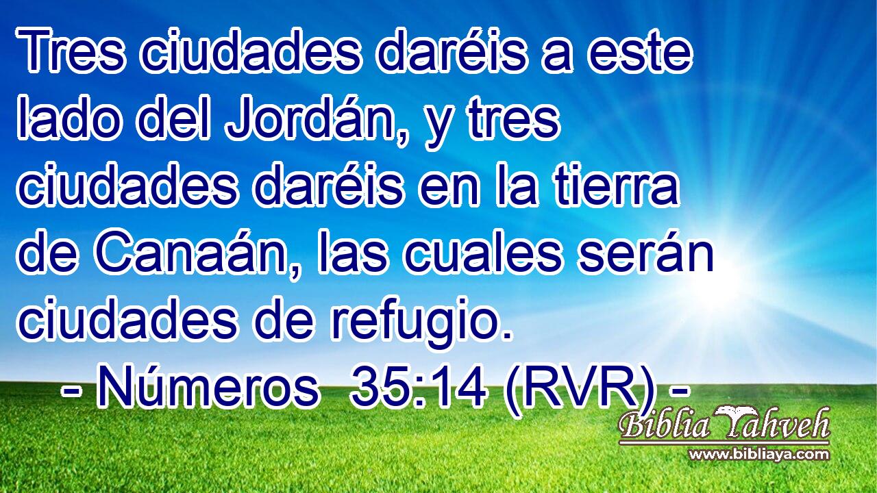 Tres ciudades daréis a este lado del Jordán, y tres ciudades daréis en la tierra de Canaán, las cuales serán ciudades de refugio.