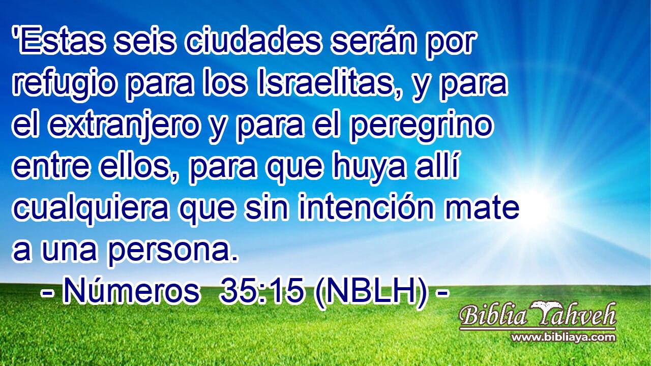  'Estas seis ciudades serán por refugio para los Israelitas, y para el extranjero y para el peregrino entre ellos, para que huya allí cualquiera que sin intención mate a una persona. 