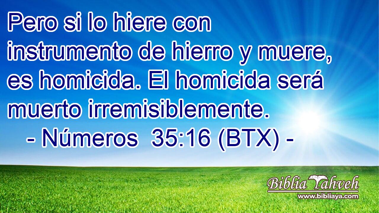 Pero si lo hiere con instrumento de hierro y muere, es homicida. El homicida será muerto irremisiblemente.