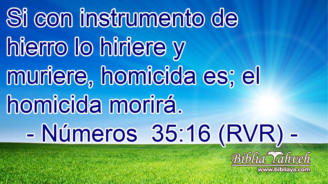 Si con instrumento de hierro lo hiriere y muriere, homicida es; el homicida morirá.