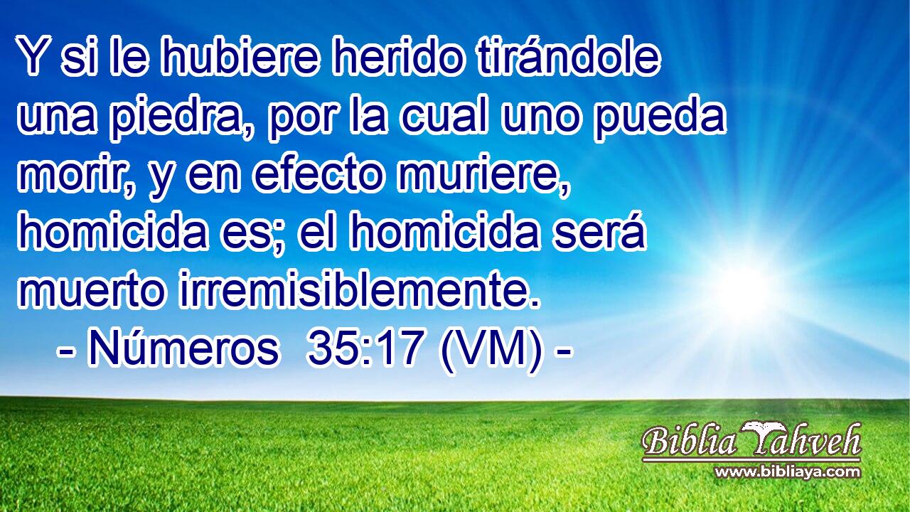  Y si le hubiere herido tirándole una piedra, por la cual uno pueda morir, y en efecto muriere, homicida es; el homicida será muerto irremisiblemente. 