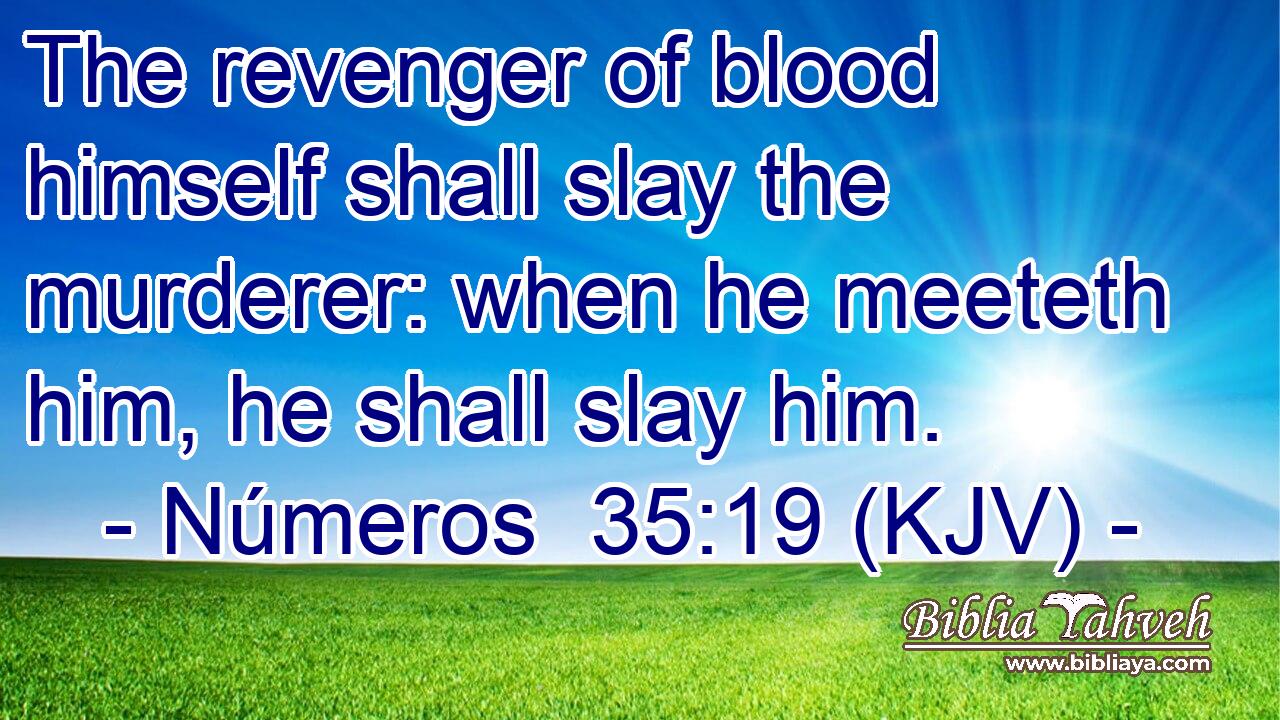 The revenger of blood himself shall slay the murderer: when he meeteth him, he shall slay him.