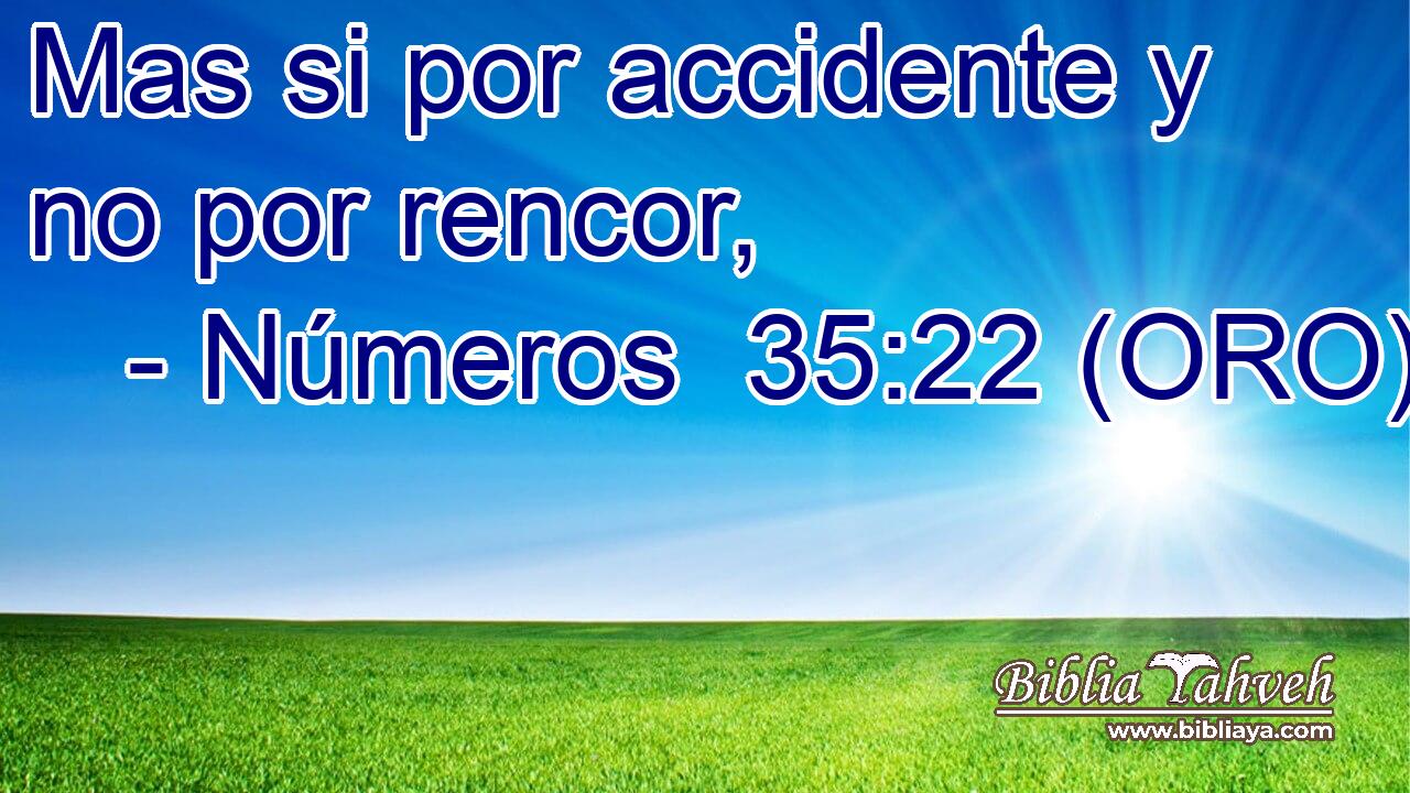  Mas si por accidente y no por rencor, 