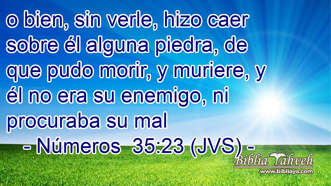 o bien, sin verle, hizo caer sobre él alguna piedra, de que pudo morir, y muriere, y él no era su enemigo, ni procuraba su mal