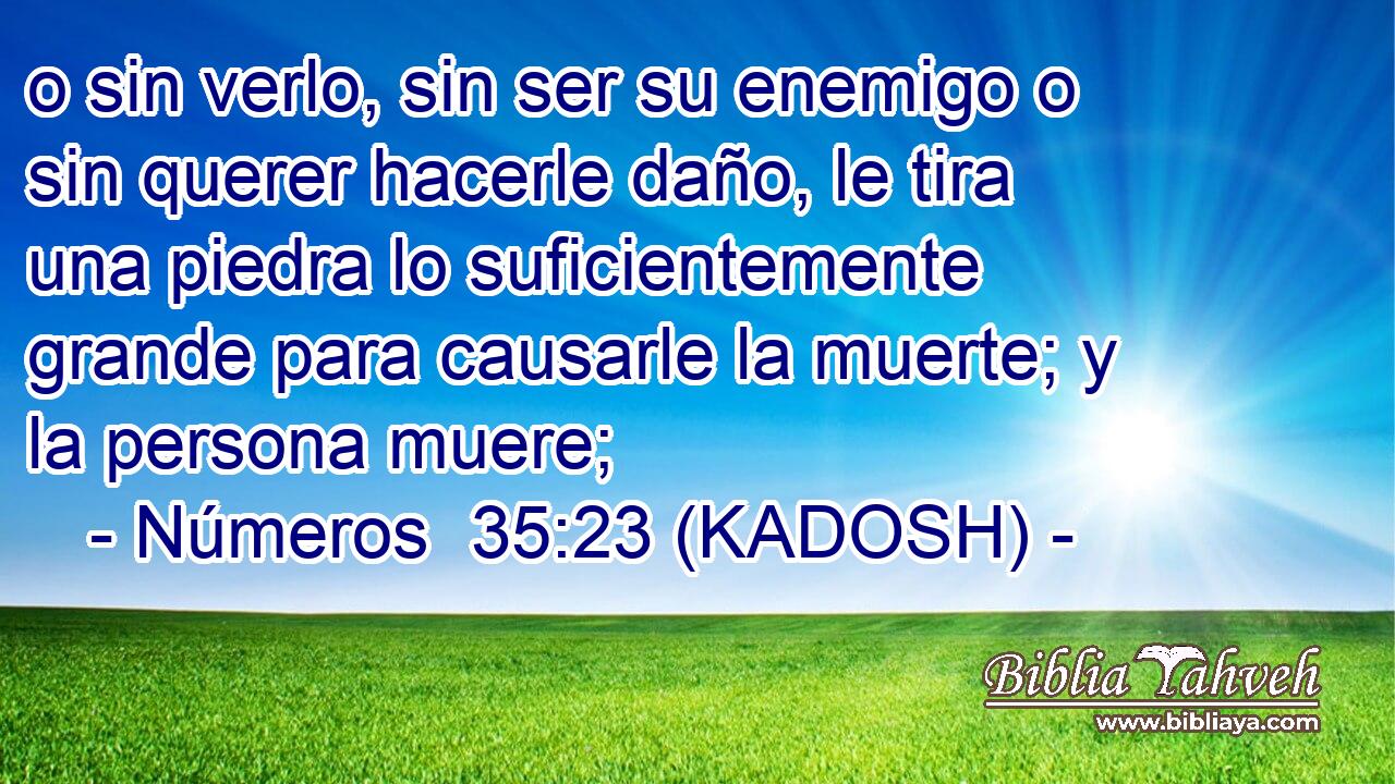 o sin verlo, sin ser su enemigo o sin querer hacerle daño, le tira una piedra lo suficientemente grande para causarle la muerte; y la persona muere; 