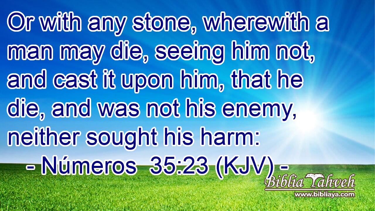 Or with any stone, wherewith a man may die, seeing him not, and cast it upon him, that he die, and was not his enemy, neither sought his harm: