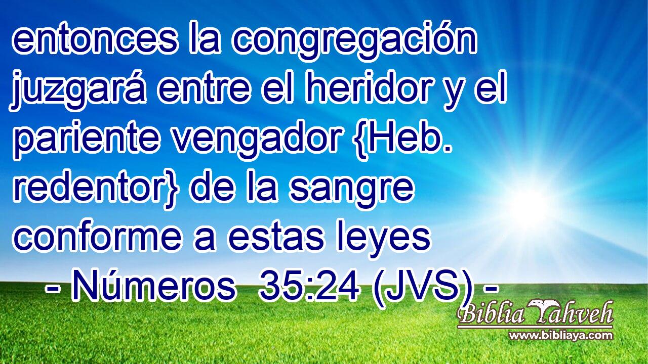 entonces la congregación juzgará entre el heridor y el pariente vengador {Heb. redentor} de la sangre conforme a estas leyes