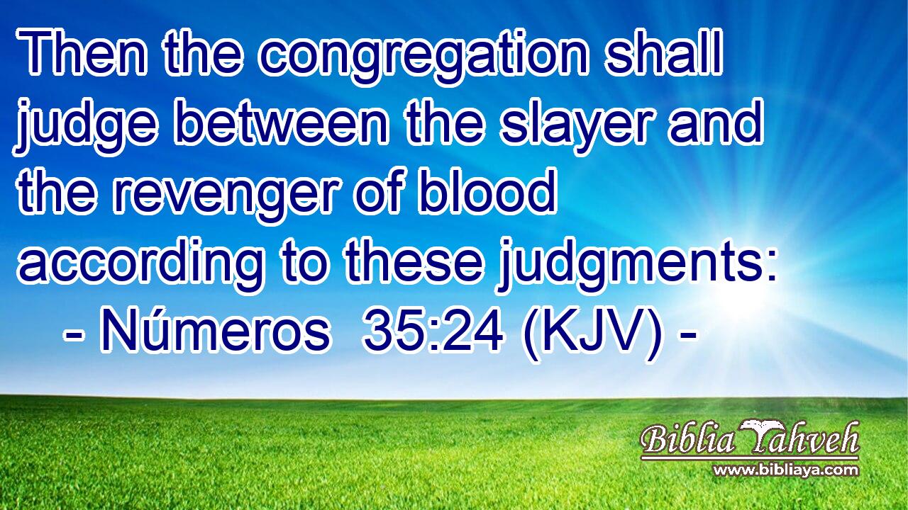 Then the congregation shall judge between the slayer and the revenger of blood according to these judgments: