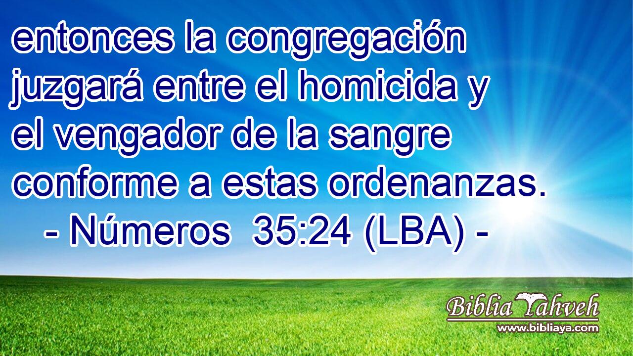 entonces la congregación juzgará entre el homicida y el vengador de la sangre conforme a estas ordenanzas.
