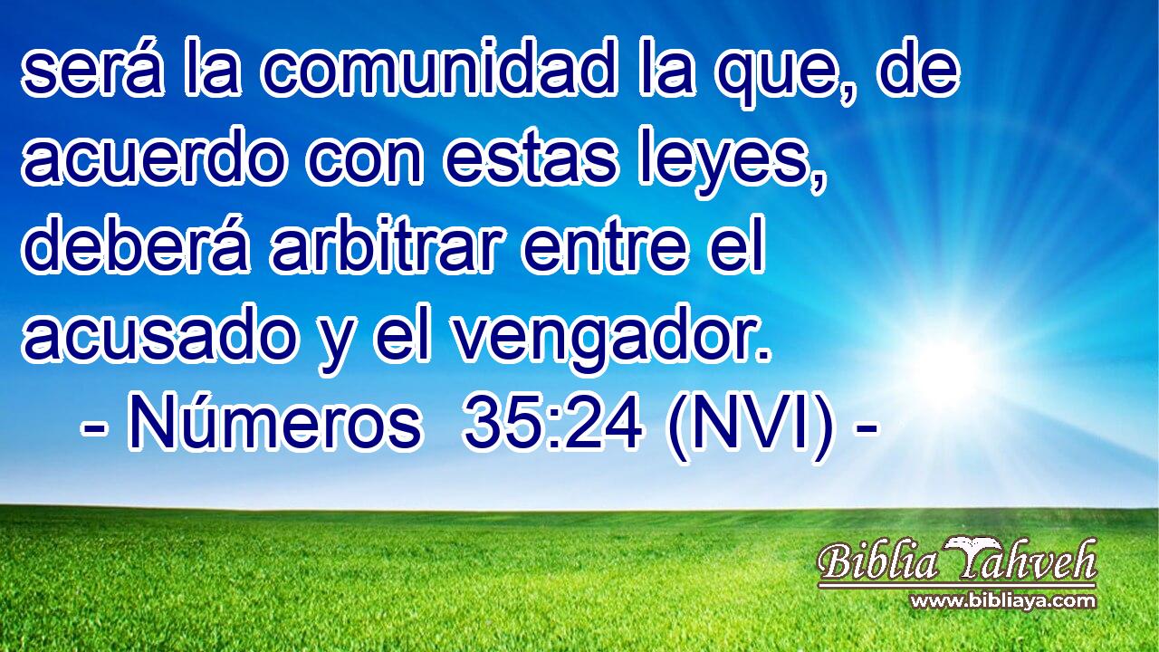  será la comunidad la que, de acuerdo con estas leyes, deberá arbitrar entre el acusado y el vengador. 