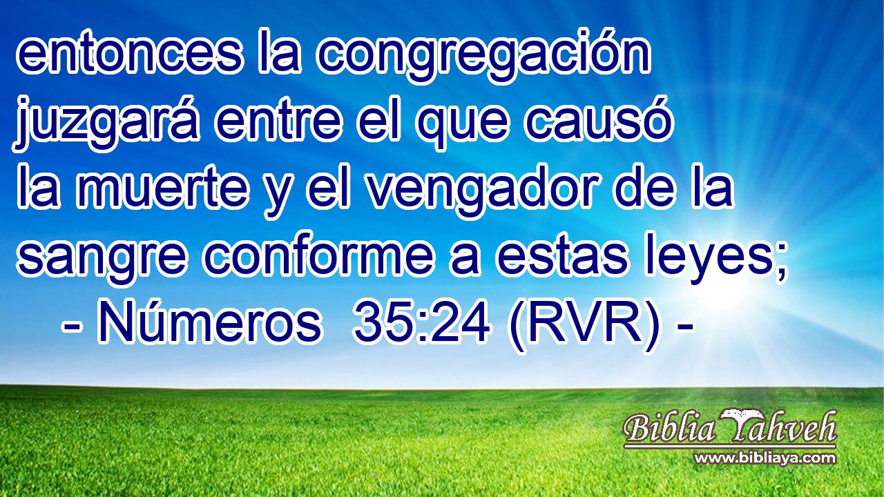 entonces la congregación juzgará entre el que causó la muerte y el vengador de la sangre conforme a estas leyes;