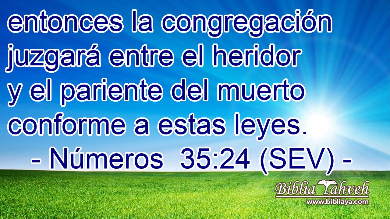 entonces la congregación juzgará entre el heridor y el pariente del muerto conforme a estas leyes.