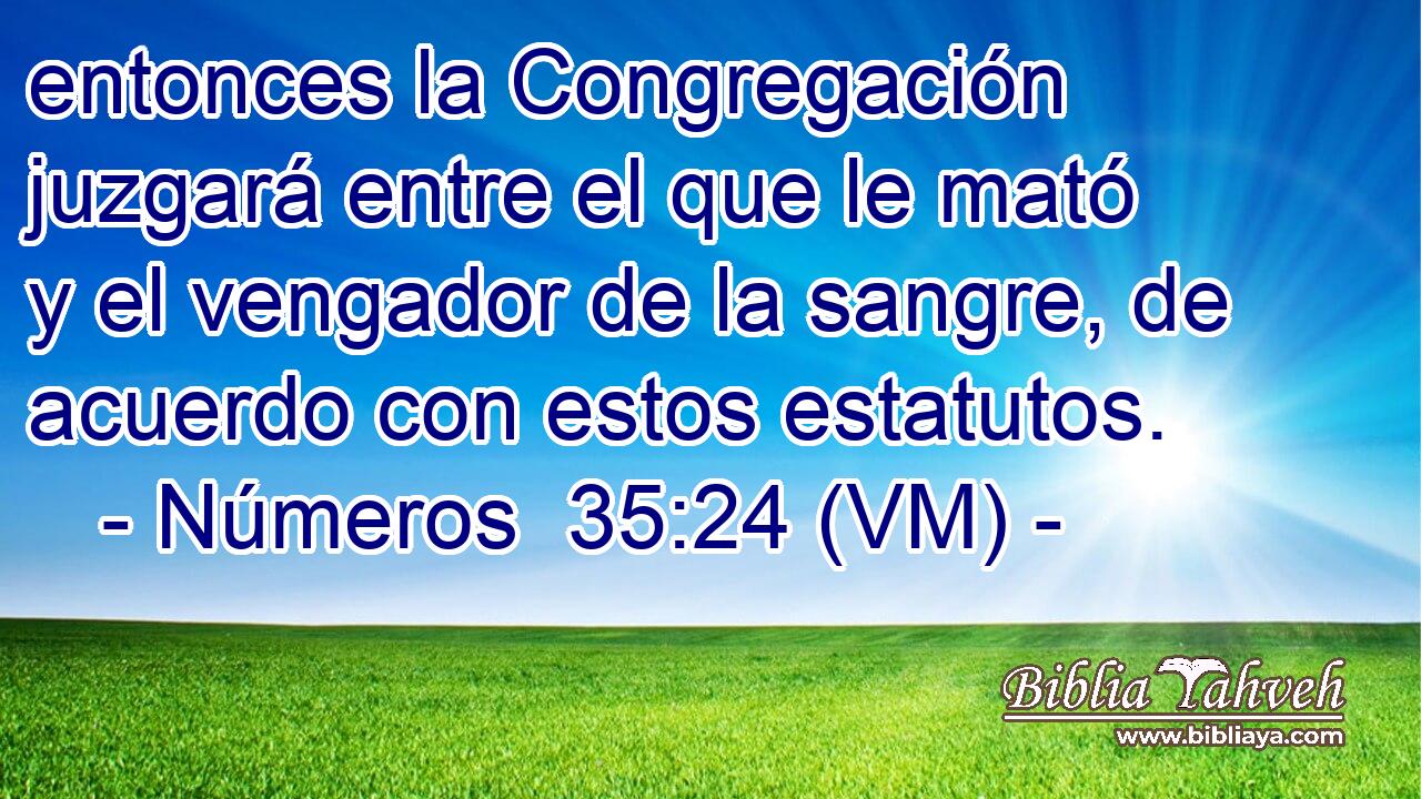  entonces la Congregación juzgará entre el que le mató y el vengador de la sangre, de acuerdo con estos estatutos. 