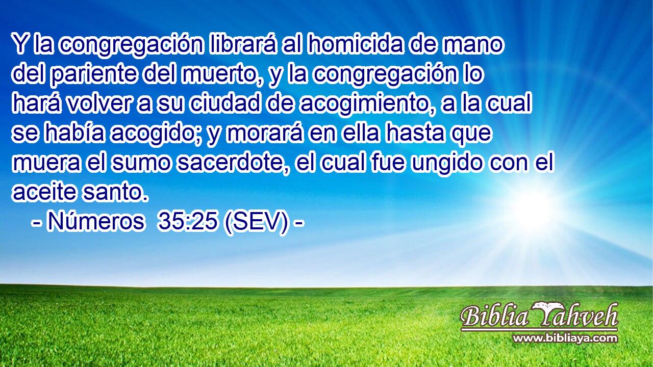 Y la congregación librará al homicida de mano del pariente del muerto, y la congregación lo hará volver a su ciudad de acogimiento, a la cual se había acogido; y morará en ella hasta que muera el sumo sacerdote, el cual fue ungido con el aceite santo.
