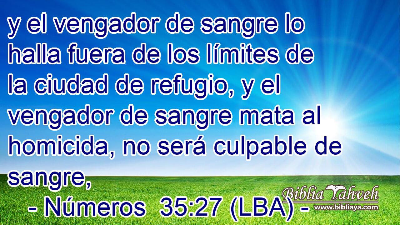 y el vengador de sangre lo halla fuera de los límites de la ciudad de refugio, y el vengador de sangre mata al homicida, no será culpable de sangre,