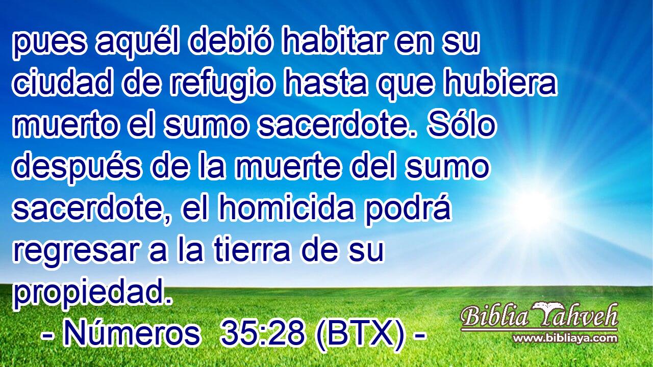 pues aquél debió habitar en su ciudad de refugio hasta que hubiera muerto el sumo sacerdote. Sólo después de la muerte del sumo sacerdote, el homicida podrá regresar a la tierra de su propiedad.