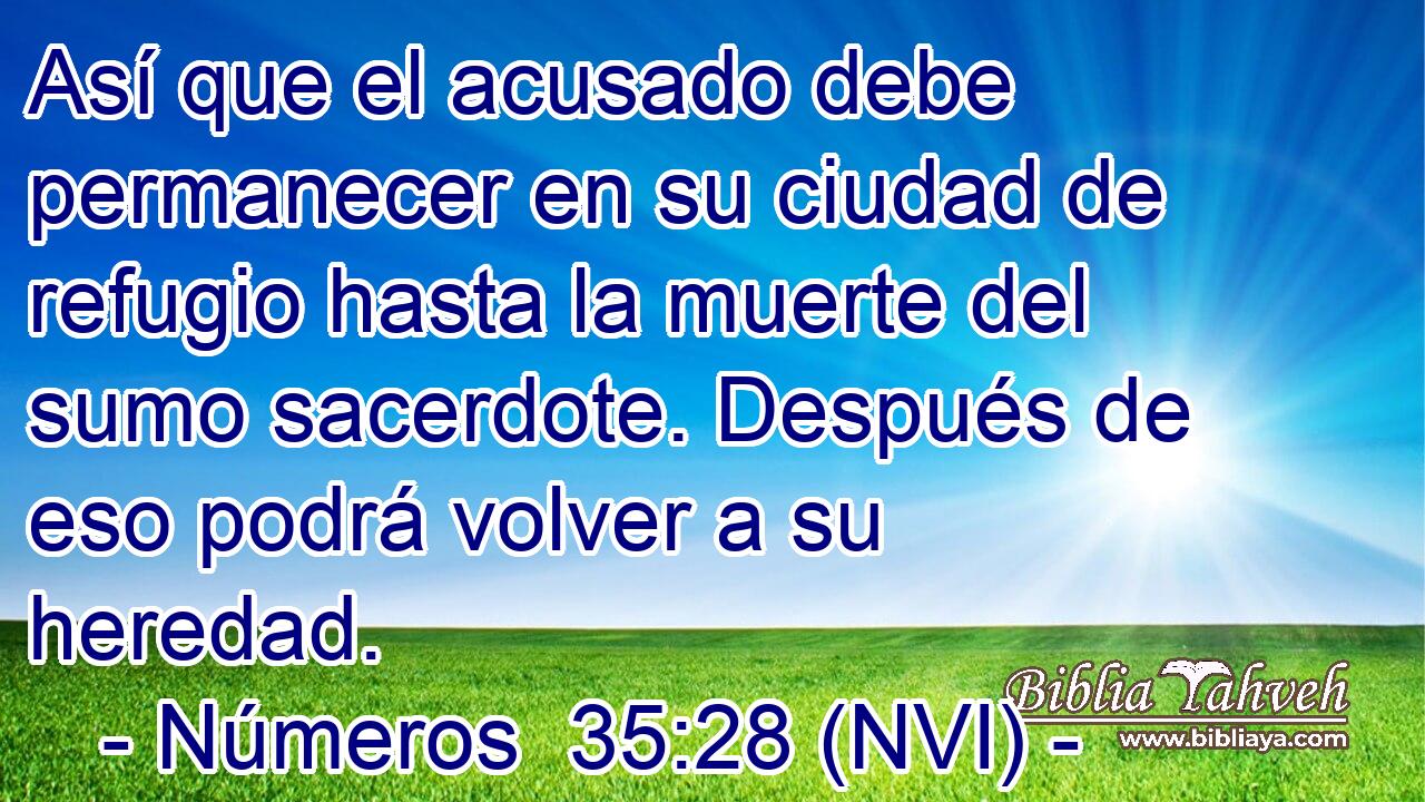  Así que el acusado debe permanecer en su ciudad de refugio hasta la muerte del sumo sacerdote. Después de eso podrá volver a su heredad. 