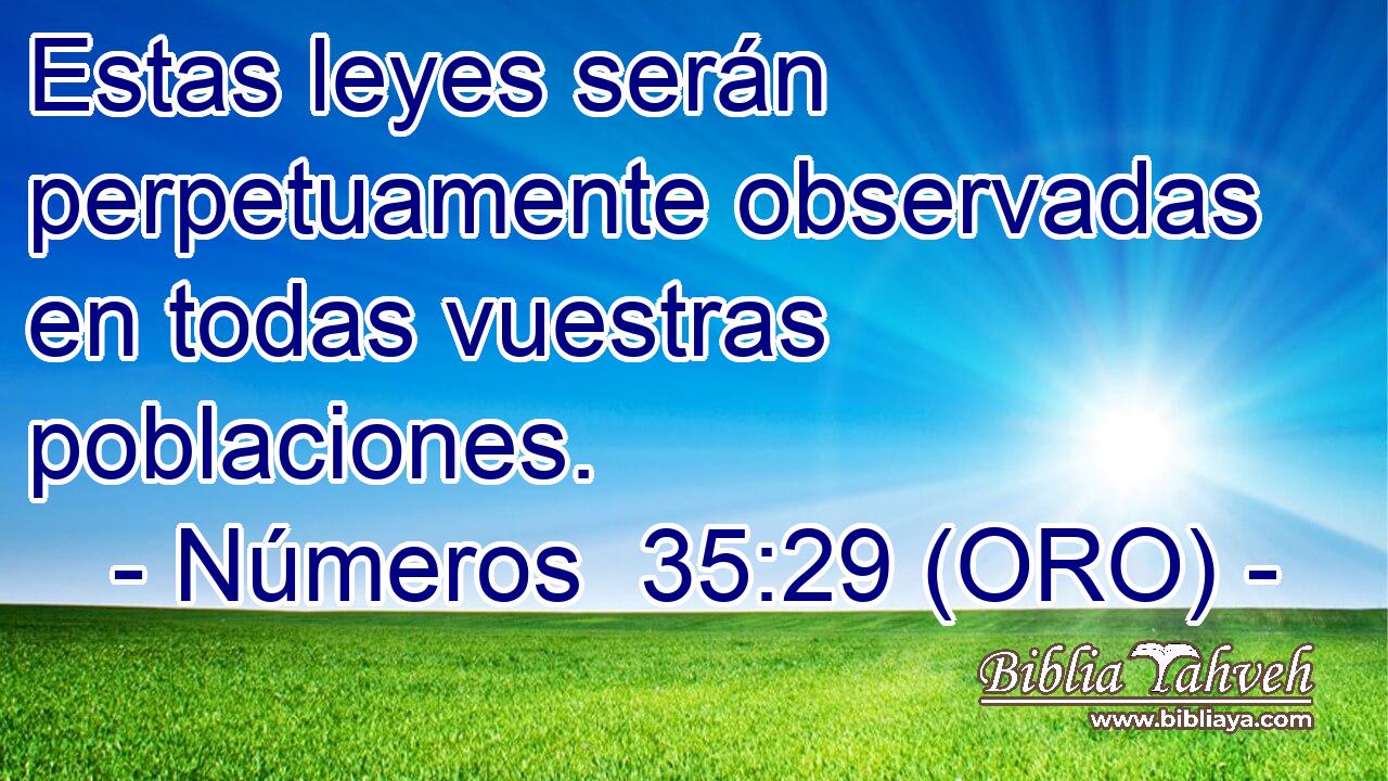  Estas leyes serán perpetuamente observadas en todas vuestras poblaciones. 