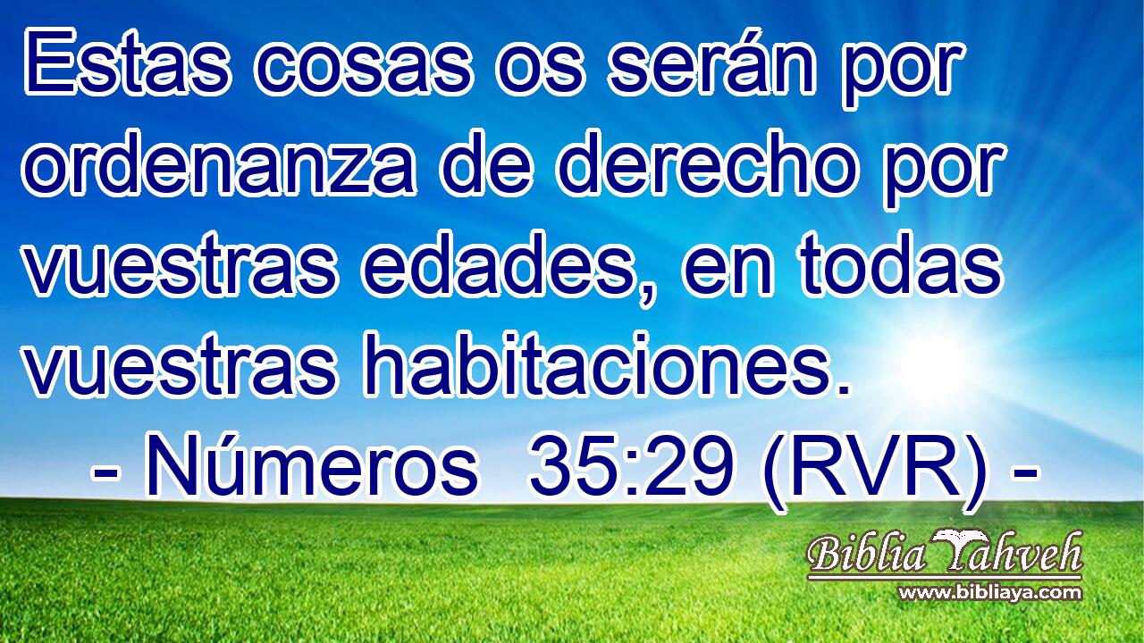 Estas cosas os serán por ordenanza de derecho por vuestras edades, en todas vuestras habitaciones.