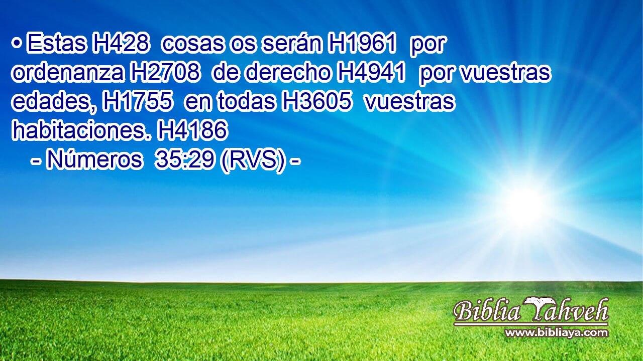• Estas H428  cosas os serán H1961  por ordenanza H2708  de derecho H4941  por vuestras edades, H1755  en todas H3605  vuestras habitaciones. H4186  