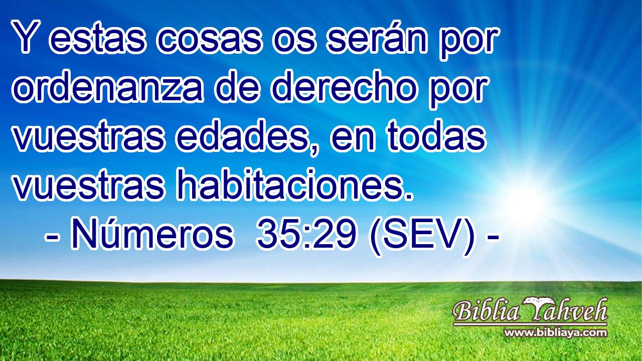 Y estas cosas os serán por ordenanza de derecho por vuestras edades, en todas vuestras habitaciones.