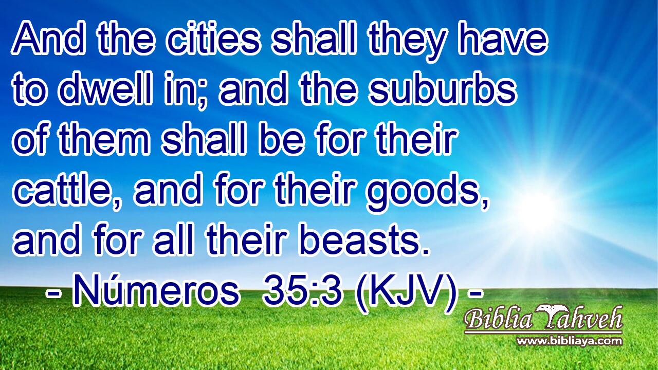 And the cities shall they have to dwell in; and the suburbs of them shall be for their cattle, and for their goods, and for all their beasts.