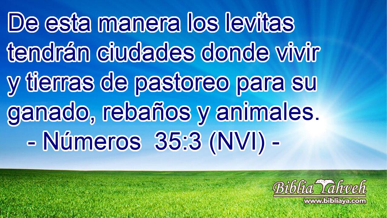 De esta manera los levitas tendrán ciudades donde vivir y tierras de pastoreo para su ganado, rebaños y animales. 