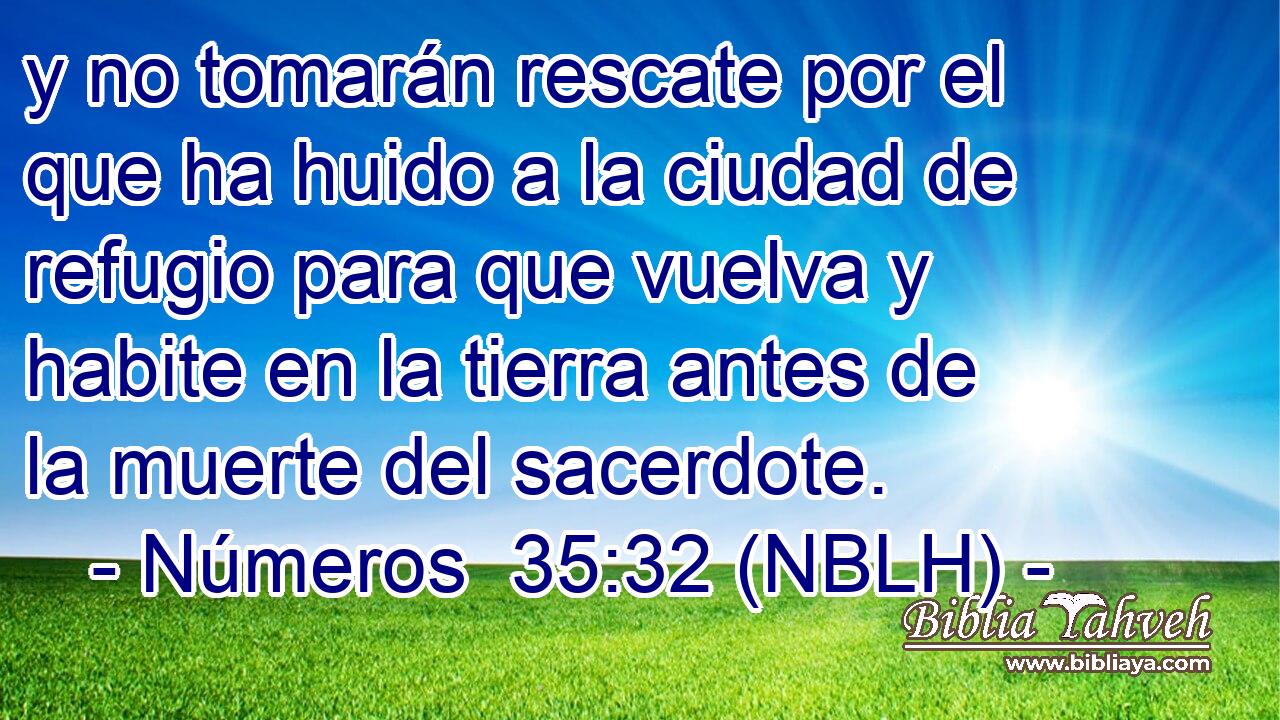  y no tomarán rescate por el que ha huido a la ciudad de refugio para que vuelva y habite en la tierra antes de la muerte del sacerdote. 