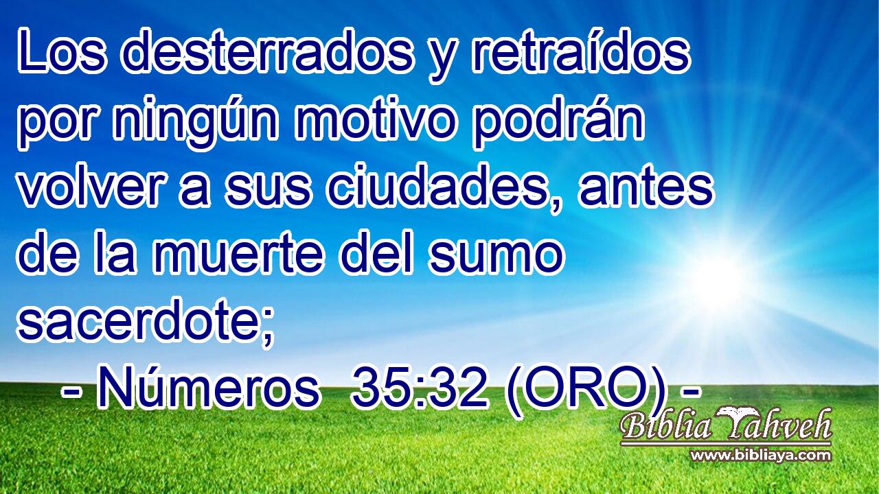  Los desterrados y retraídos por ningún motivo podrán volver a sus ciudades, antes de la muerte del sumo sacerdote; 