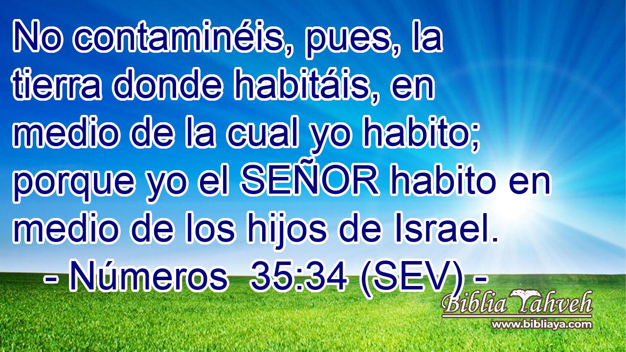 No contaminéis, pues, la tierra donde habitáis, en medio de la cual yo habito; porque yo el SEÑOR habito en medio de los hijos de Israel.