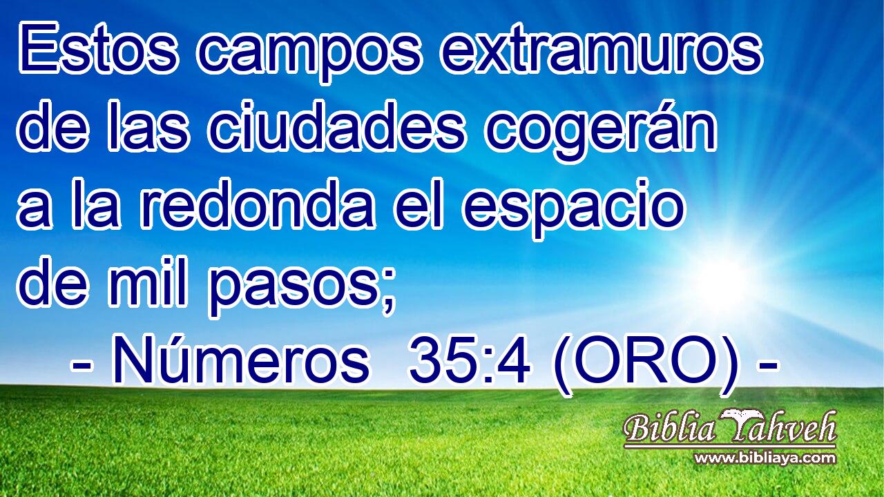  Estos campos extramuros de las ciudades cogerán a la redonda el espacio de mil pasos; 