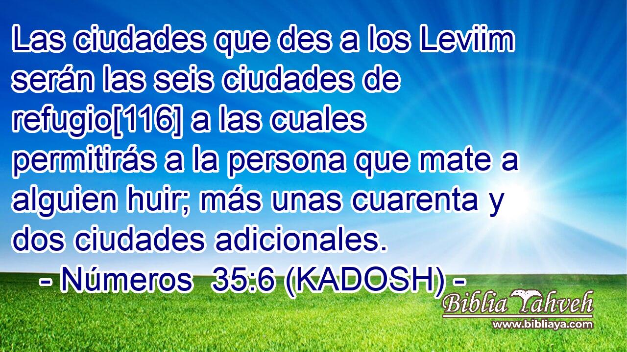  Las ciudades que des a los Leviim serán las seis ciudades de refugio[116] a las cuales permitirás a la persona que mate a alguien huir; más unas cuarenta y dos ciudades adicionales. 