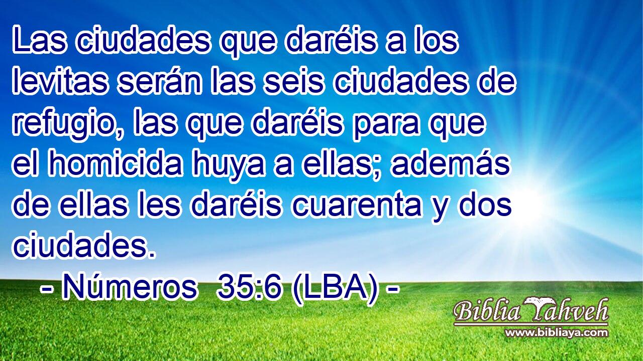 Las ciudades que daréis a los levitas serán las seis ciudades de refugio, las que daréis para que el homicida huya a ellas; además de ellas les daréis cuarenta y dos ciudades.