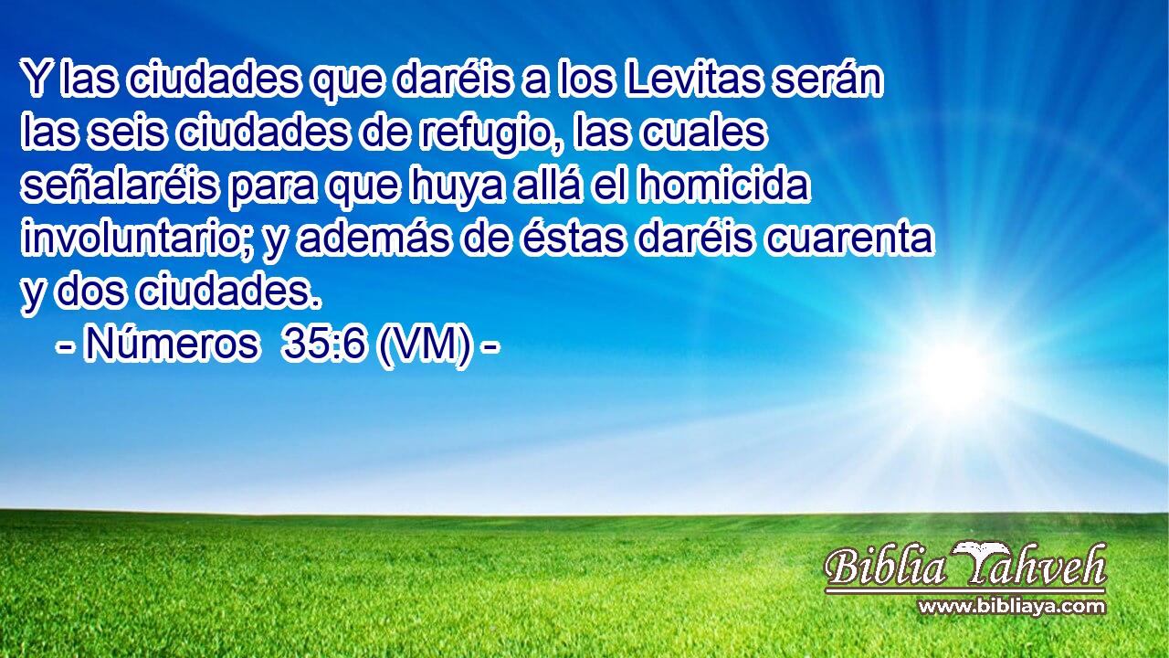  Y las ciudades que daréis a los Levitas serán las seis ciudades de refugio, las cuales señalaréis para que huya allá el homicida involuntario; y además de éstas daréis cuarenta y dos ciudades. 