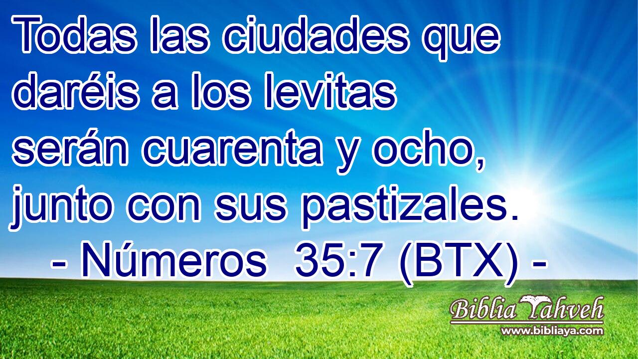 Todas las ciudades que daréis a los levitas serán cuarenta y ocho, junto con sus pastizales.
