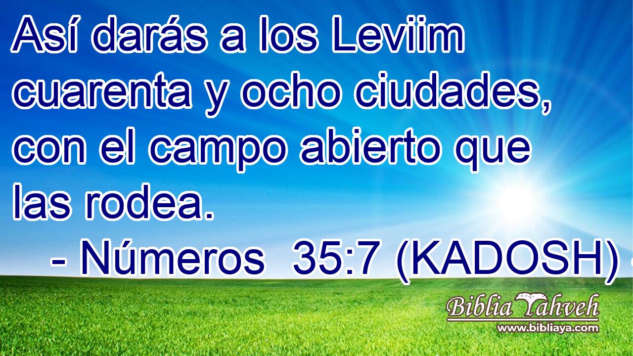  Así darás a los Leviim cuarenta y ocho ciudades, con el campo abierto que las rodea. 