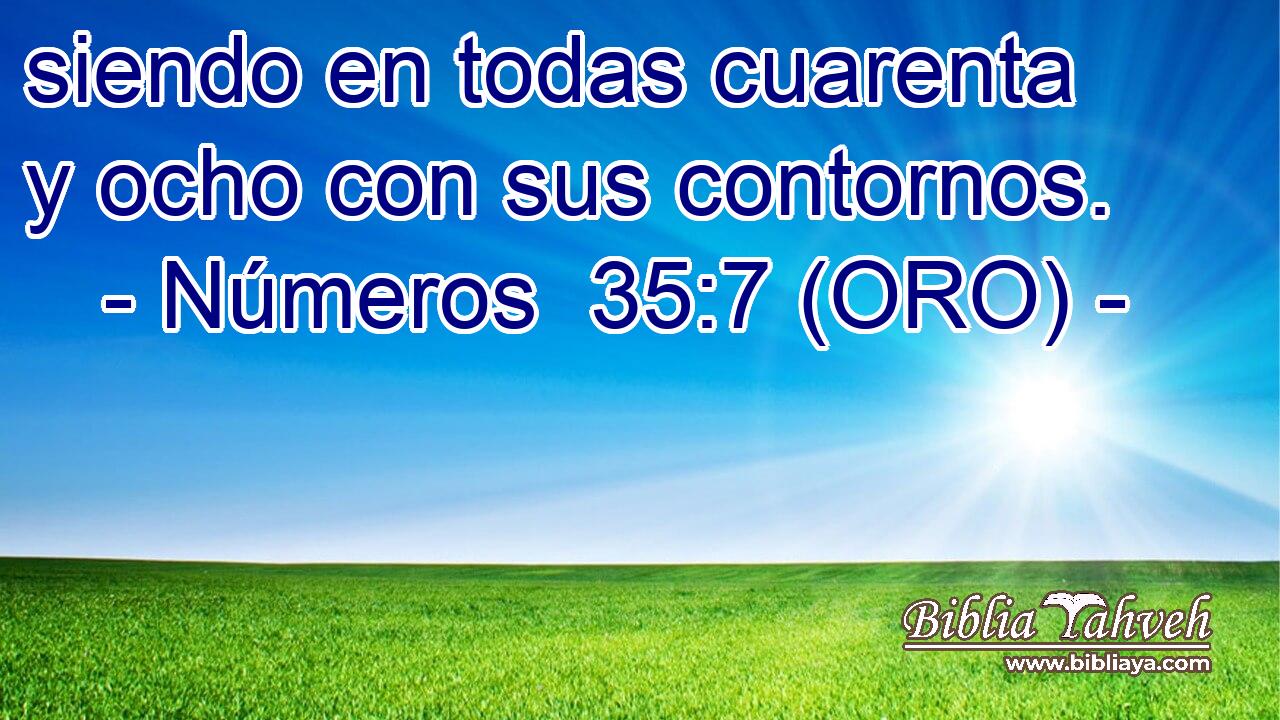 siendo en todas cuarenta y ocho con sus contornos. 