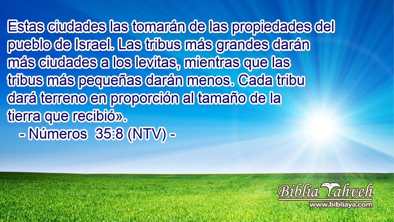 Estas ciudades las tomarán de las propiedades del pueblo de Israel. Las tribus más grandes darán más ciudades a los levitas, mientras que las tribus más pequeñas darán menos. Cada tribu dará terreno en proporción al tamaño de la tierra que recibió».