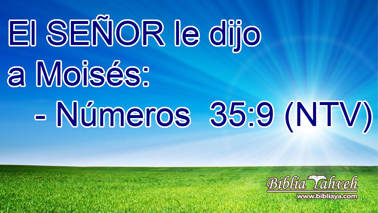 El SEÑOR le dijo a Moisés: