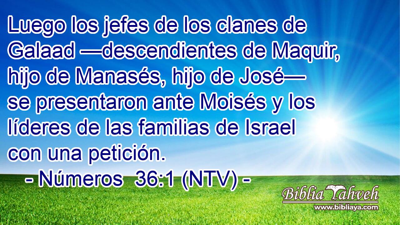 Luego los jefes de los clanes de Galaad —descendientes de Maquir, hijo de Manasés, hijo de José— se presentaron ante Moisés y los líderes de las familias de Israel con una petición.
